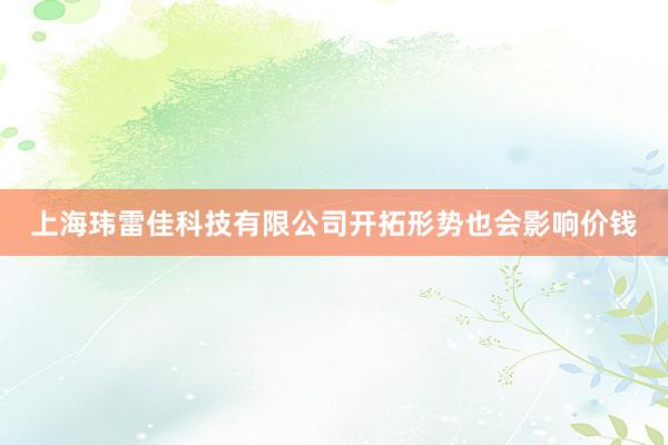 上海玮雷佳科技有限公司开拓形势也会影响价钱