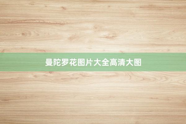 曼陀罗花图片大全高清大图