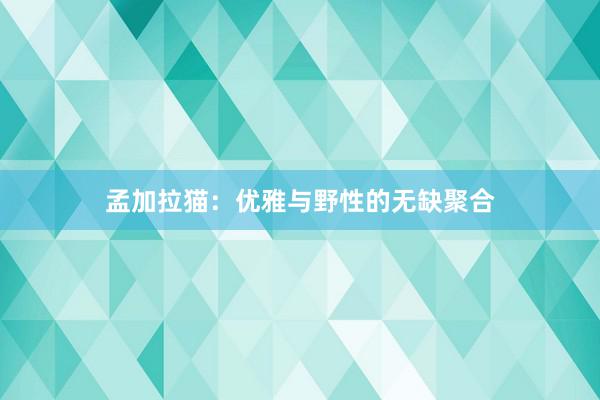 孟加拉猫：优雅与野性的无缺聚合