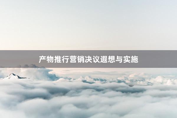产物推行营销决议遐想与实施